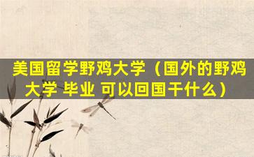 美国留学野鸡大学（国外的野鸡大学 毕业 可以回国干什么）